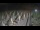 Webcam in Castiglione della Pescaia, 6.1 mi away