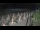 Webcam in Castiglione della Pescaia, 46.3 km entfernt