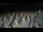 Webcam in Castiglione della Pescaia, 18 mi away