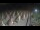 Webcam in Castiglione della Pescaia, 50.3 km entfernt