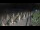 Webcam in Castiglione della Pescaia, 39.8 km entfernt