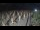 Webcam in Castiglione della Pescaia, 18.4 mi away