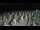 Webcam in Castiglione della Pescaia, 6.1 mi away