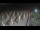 Webcam in Castiglione della Pescaia, 9.9 mi away