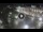 Webcam in Verona, 0.5 mi away