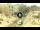 Webcam in Paola, 2.8 km