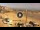 Webcam in St Ives (Cornwall), 0.3 km