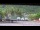 Webcam in Pago Pago, 880.5 mi away