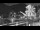 Webcam in Pago Pago, 1386 km entfernt
