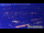Webcam in Munich, 7.3 km