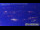 Webcam in Munich, 1.7 mi away