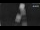Webcam in Berg am Starnberger See, 23.4 km entfernt