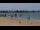 Webcam in Saint-Michel-Chef-Chef, 0 km
