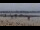 Webcam in Saint-Michel-Chef-Chef, 3 mi away