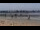 Webcam in Saint-Michel-Chef-Chef, 3 mi away