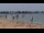 Webcam in Saint-Michel-Chef-Chef, 7.7 km
