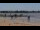Webcam in Saint-Michel-Chef-Chef, 7.7 km