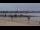 Webcam in Saint-Michel-Chef-Chef, 3.1 mi away