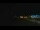 Webcam in Zuydcoote, 0 km entfernt