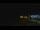 Webcam in Zuydcoote, 0 km entfernt