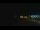Webcam in Zuydcoote, 47.8 km