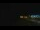 Webcam in Zuydcoote, 0 km entfernt