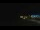 Webcam in Zuydcoote, 0 km entfernt