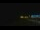 Webcam in Zuydcoote, 9.6 km entfernt