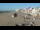 Webcam in Zuydcoote, 0 km entfernt