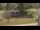Webcam in Cold Spring Harbor, New York, 22.9 km entfernt
