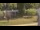 Webcam in Cold Spring Harbor, New York, 9 km