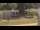 Webcam in Cold Spring Harbor, New York, 13.9 mi away