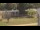 Webcam in Cold Spring Harbor, New York, 22.9 km