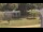 Webcam in Cold Spring Harbor, New York, 45.5 km