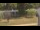 Webcam in Cold Spring Harbor, New York, 14.1 mi away