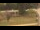 Webcam in Cold Spring Harbor, New York, 33.2 km entfernt