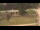 Webcam in Cold Spring Harbor, New York, 39.1 km