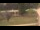 Webcam in Cold Spring Harbor, New York, 21.9 km entfernt