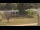Webcam in Cold Spring Harbor, New York, 27.5 mi away