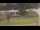 Webcam in Cold Spring Harbor, New York, 22.1 km entfernt