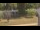 Webcam in Cold Spring Harbor, New York, 14.1 mi away