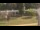 Webcam in Cold Spring Harbor, New York, 71.3 km entfernt