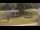Webcam in Cold Spring Harbor, New York, 9.4 mi away