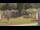 Webcam in Cold Spring Harbor, New York, 27.5 mi away