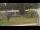 Webcam in Cold Spring Harbor, New York, 71.4 km
