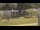 Webcam in Cold Spring Harbor, New York, 22.1 km
