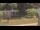 Webcam in Cold Spring Harbor, New York, 8.5 mi away