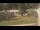 Webcam in Cold Spring Harbor, New York, 29 km