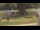 Webcam in Cold Spring Harbor, New York, 71.4 km