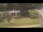 Webcam in Cold Spring Harbor, New York, 35.9 km